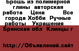 Брошь из полимерной глины, авторская работа. › Цена ­ 900 - Все города Хобби. Ручные работы » Украшения   . Брянская обл.,Клинцы г.